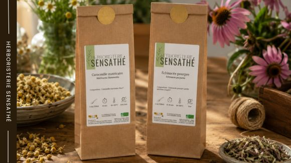 Astéracées au jardin  sachets de camomille matricaire et d'échinacée issus de plantes médicinales cultivées et récoltées au jardin - Herboristerie Sensathé